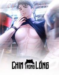 Chim Trong Lồng